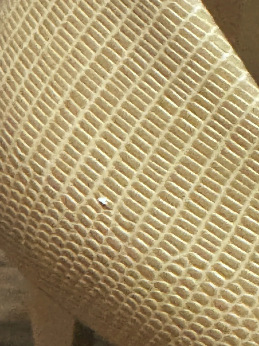 M.M.LaFleur Ginger Pumps - Embossed Lizard in Wheat EU 39.5/US 8.5/9 - Picture 9 of 12